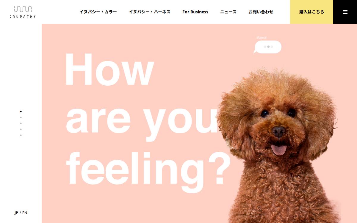 Inupathy website preview
