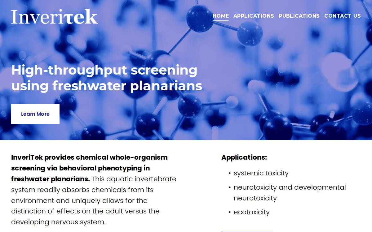 Inveritek text website preview