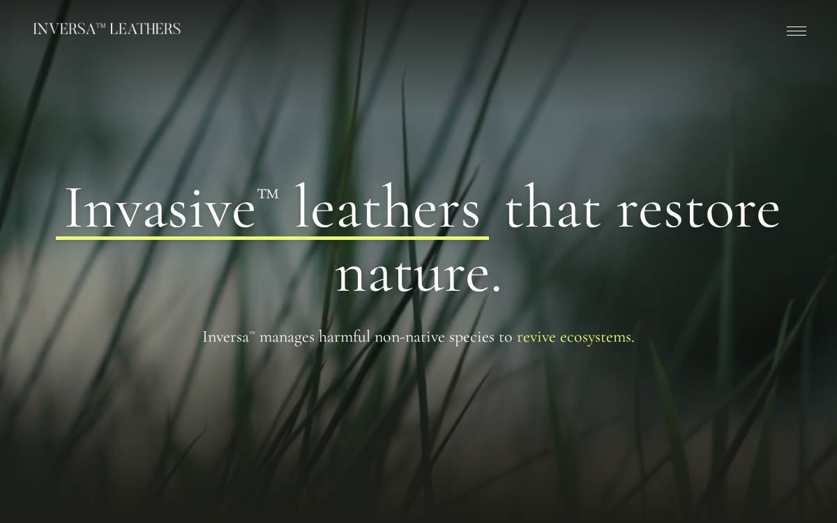 Inversa website preview