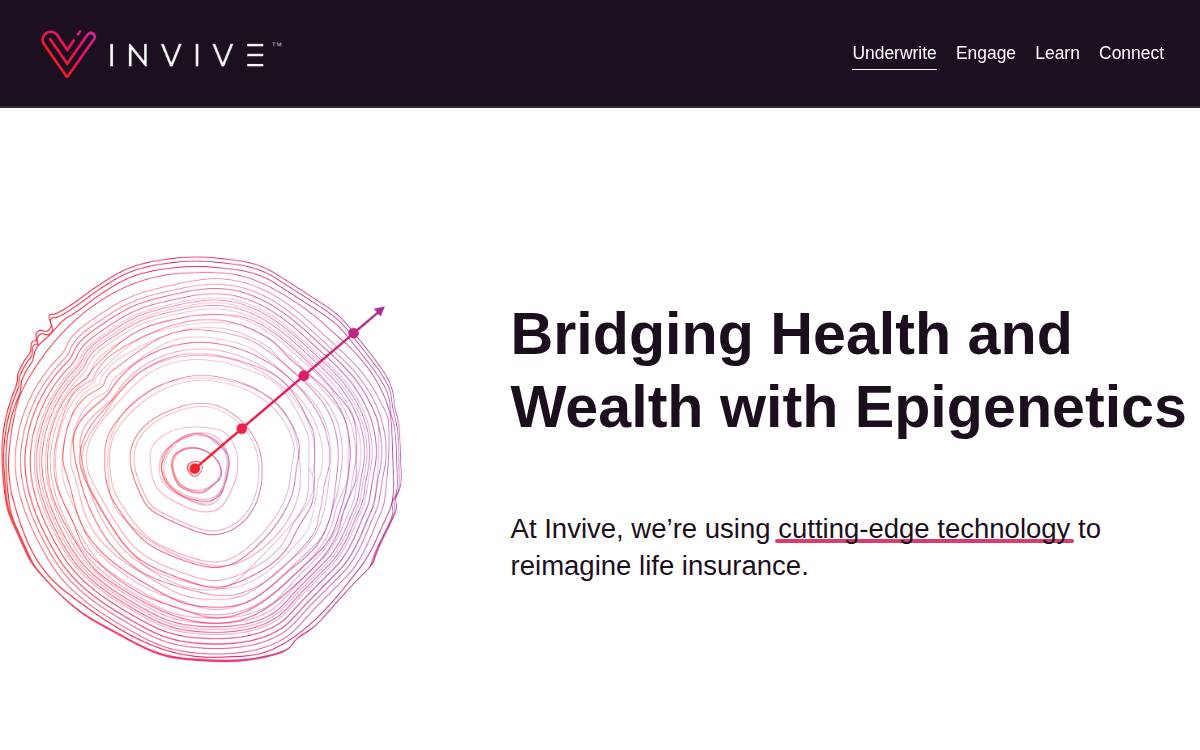 Invive website preview