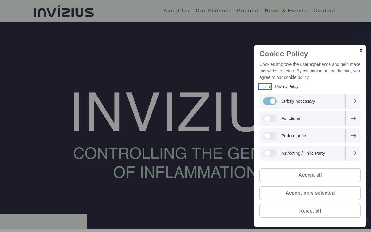 Invizius website preview