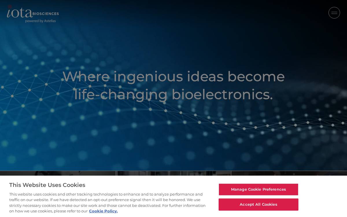 Iota website preview