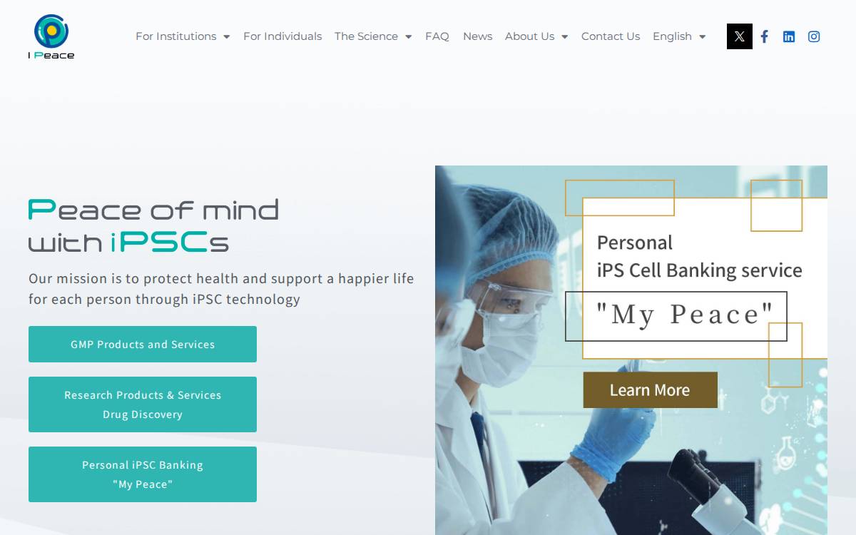 Ipeace website preview