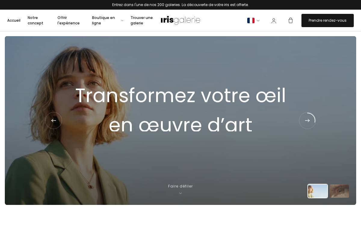Iris Galerie website preview