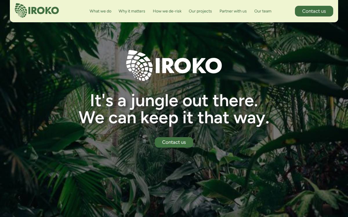 Iroko Analytics website preview
