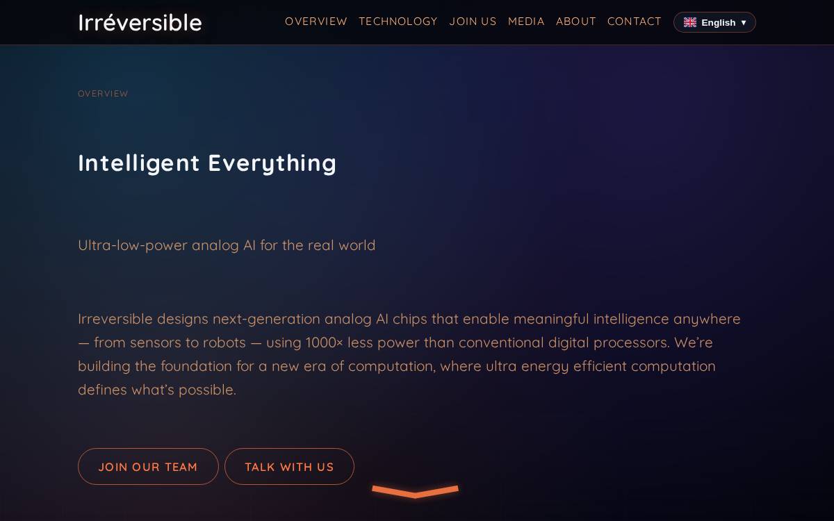 Irreversible website preview