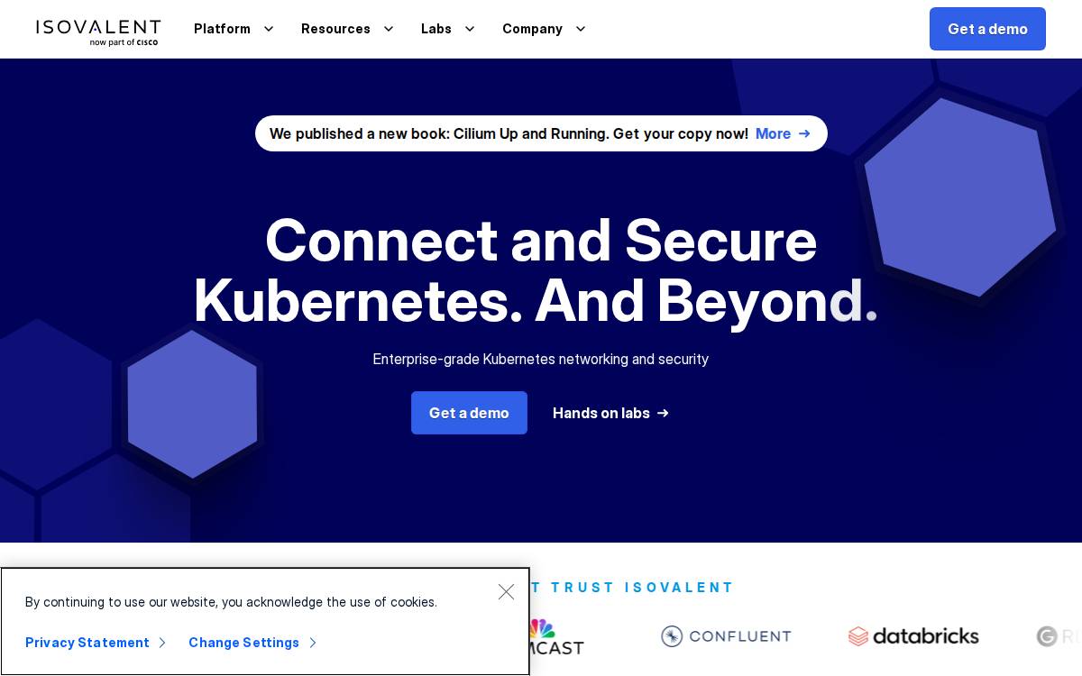 Isovalent website preview
