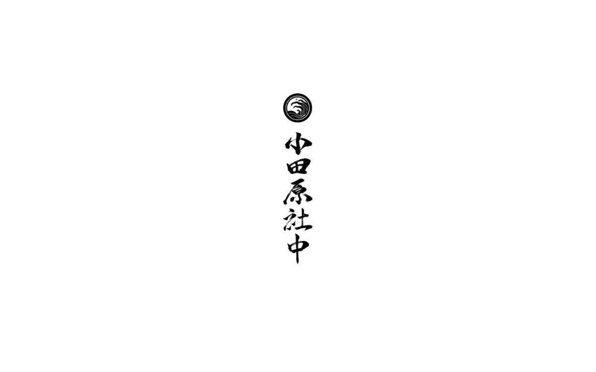 非公開（既存産業×IT） website preview