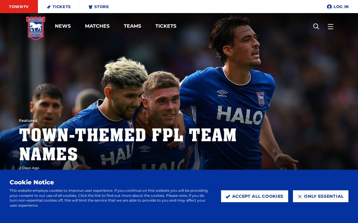 Itfc website preview