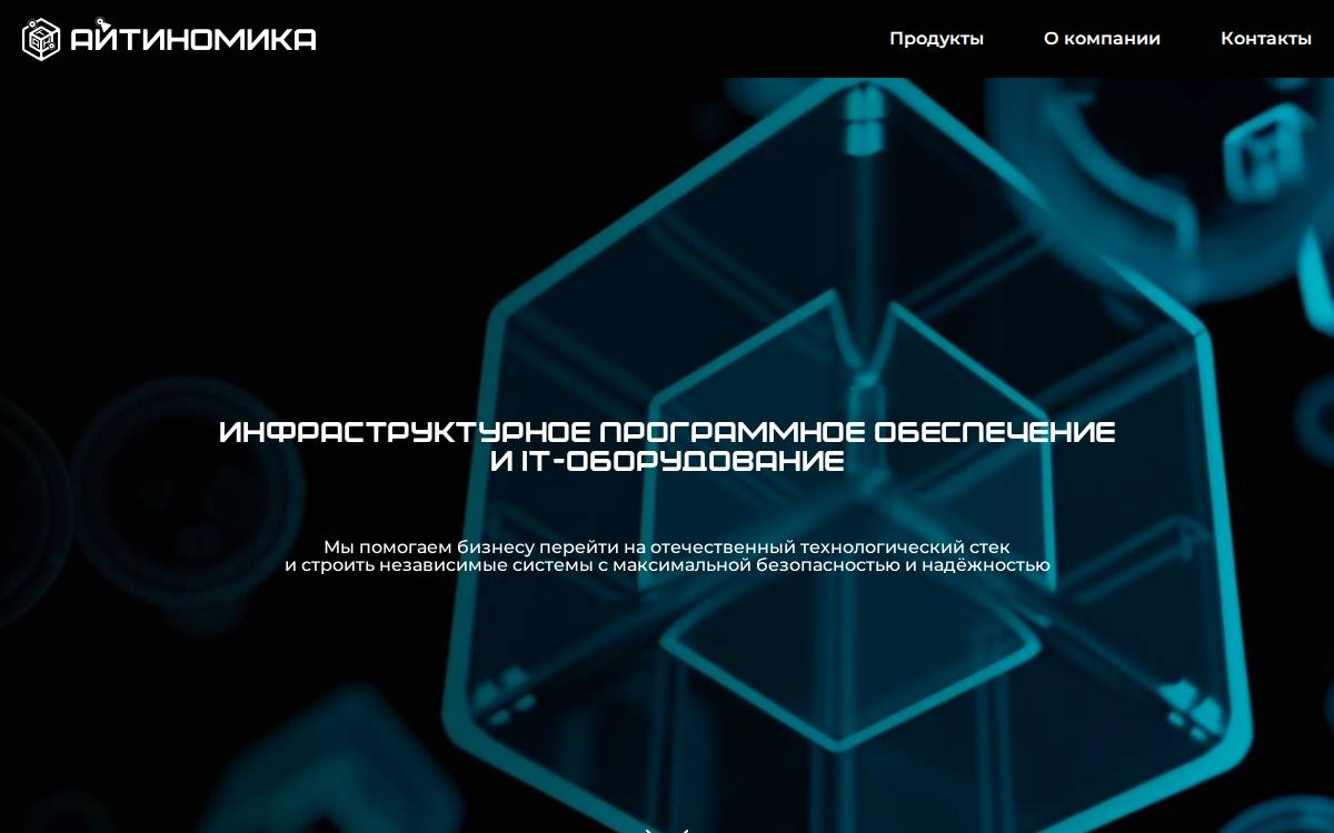 Itnomika website preview