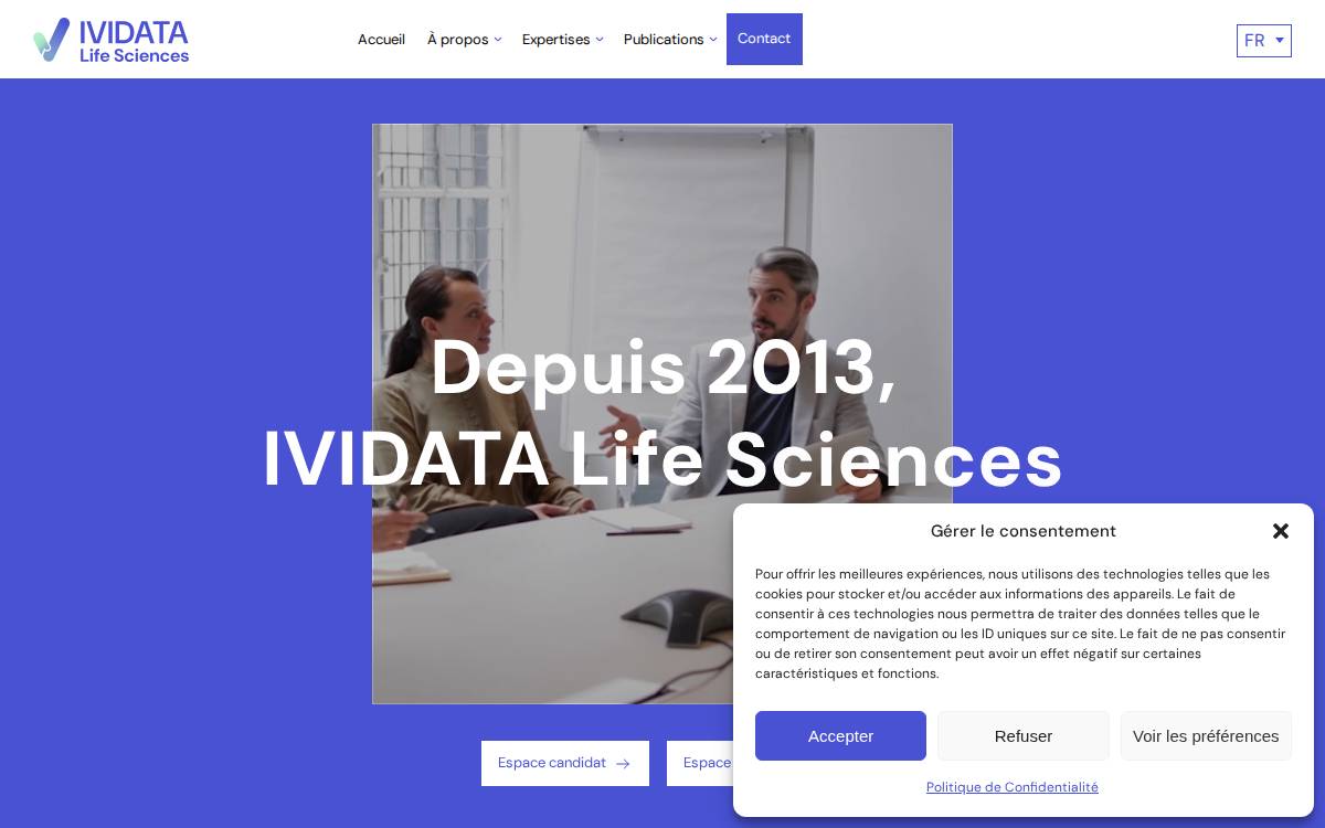 ividata website preview