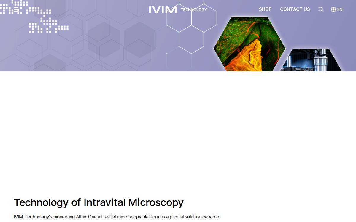 Ivimtech website preview