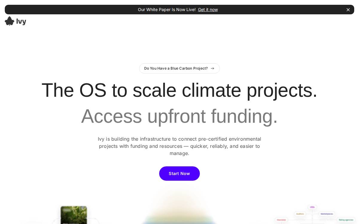 Ivyprotocol website preview