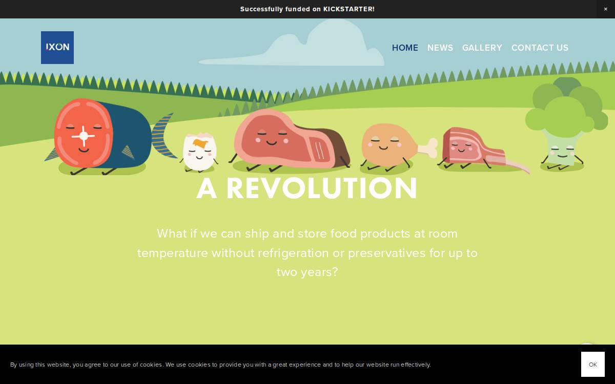 IXON Food Technology website preview