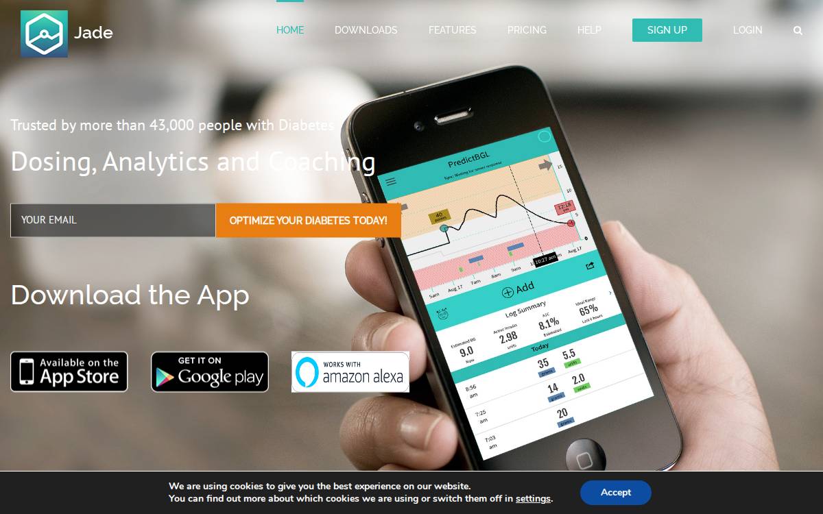Jade Diabetes website preview