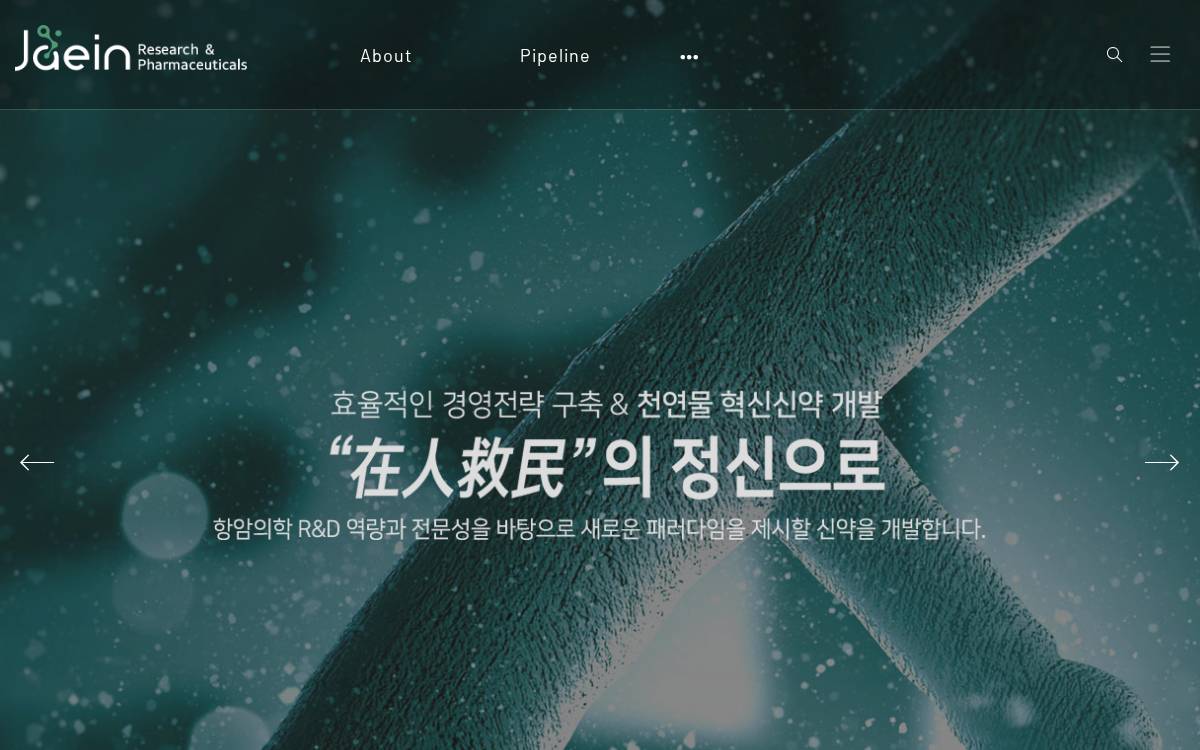 Jaeinrnp website preview