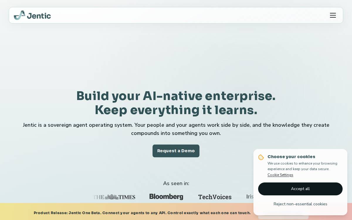 Jentic website preview