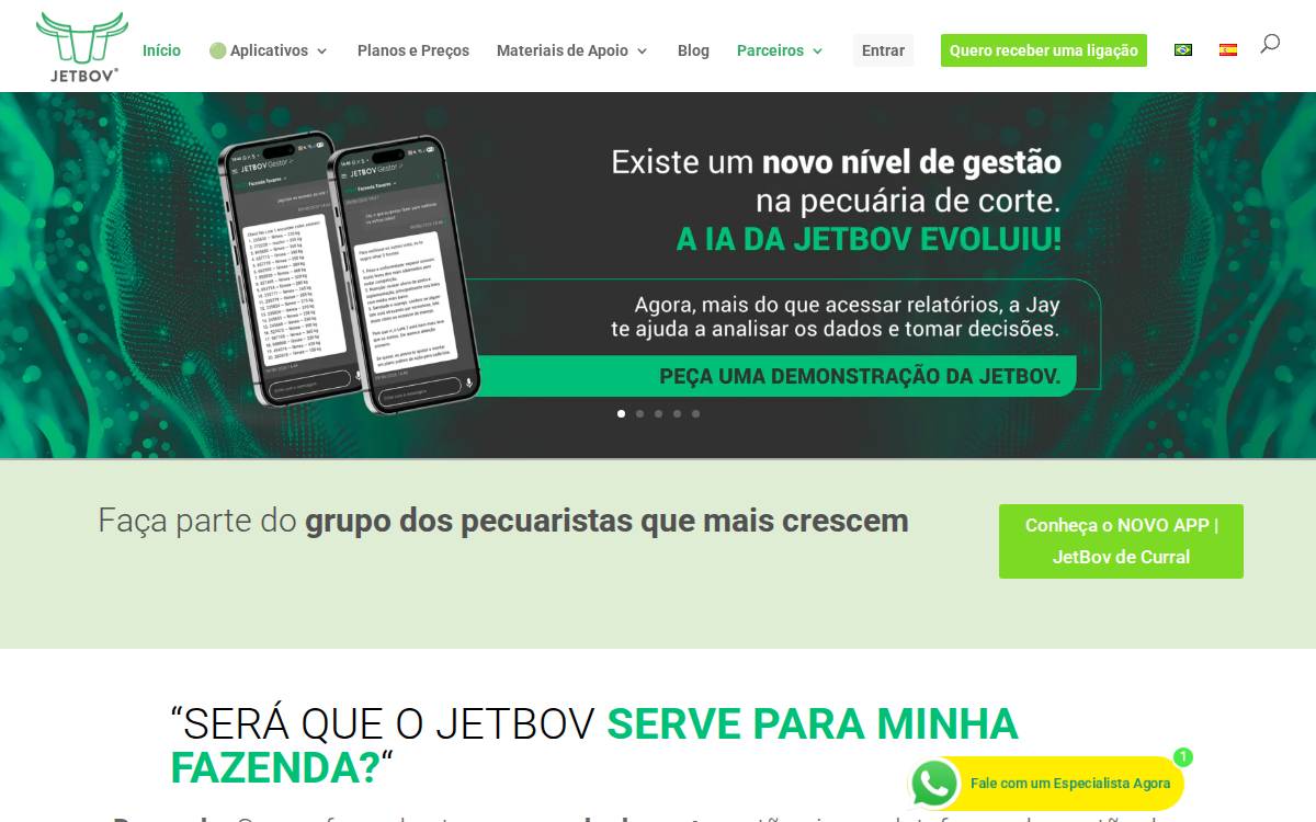 Jetbov website preview