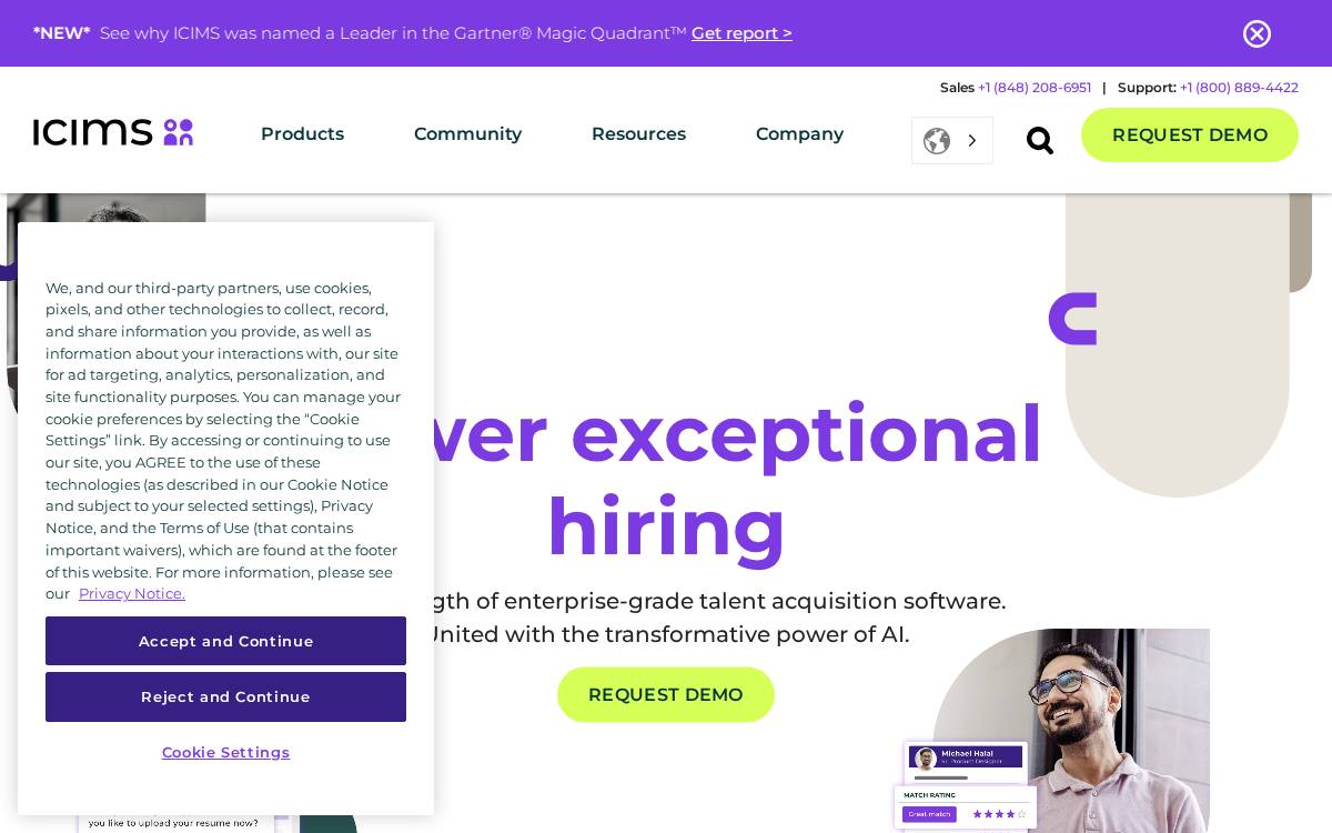 Jibe website preview