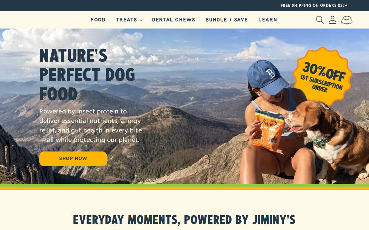 Jiminy’s website preview
