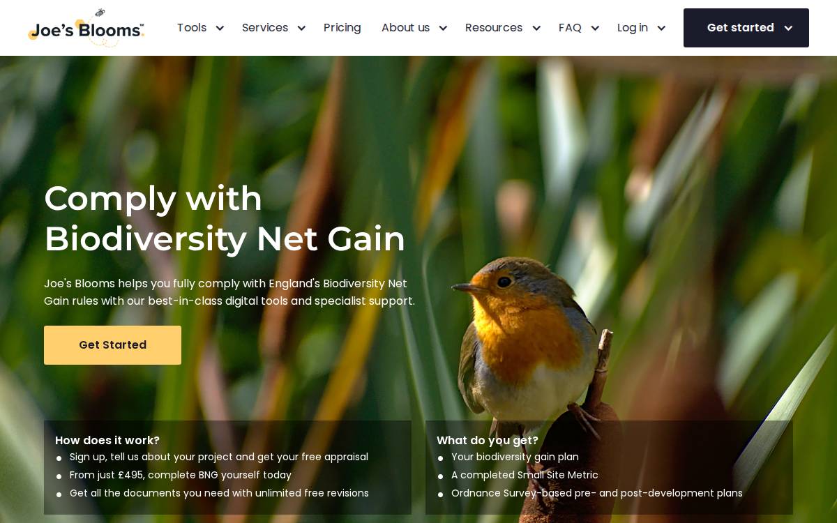 Joesblooms website preview