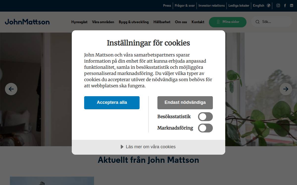 John Mattson website preview