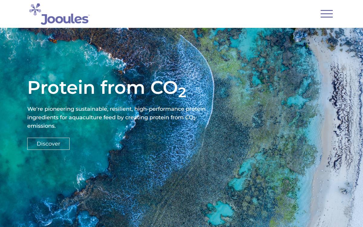 Jooules website preview