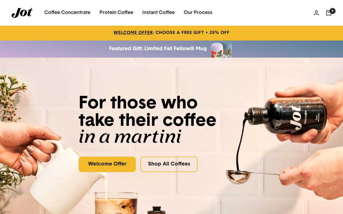 Jot Consumer false website preview