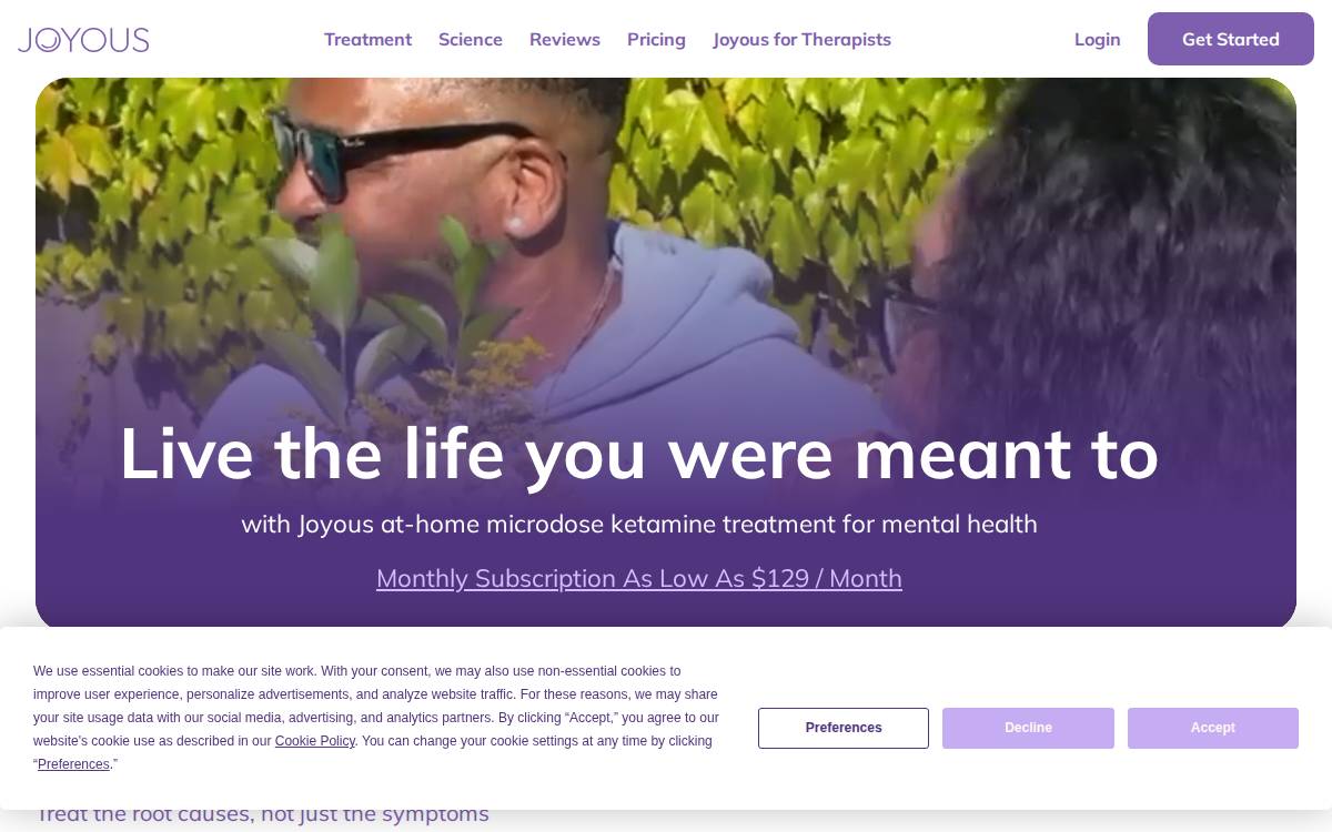 Joyous website preview