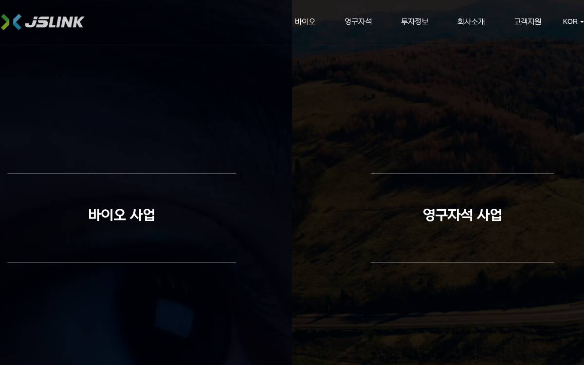 Jslink website preview