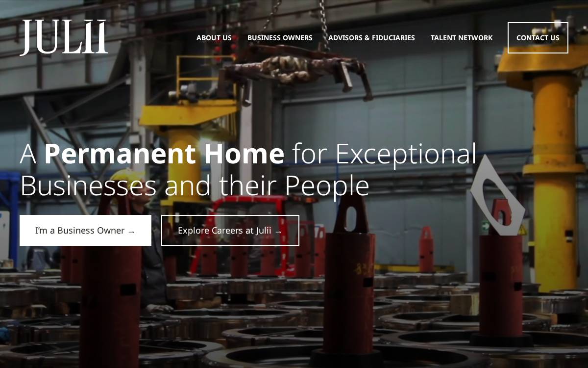 Julii Holdings website preview
