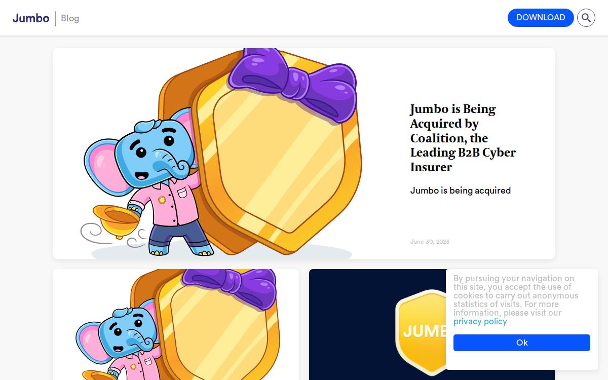 Jumbo website preview
