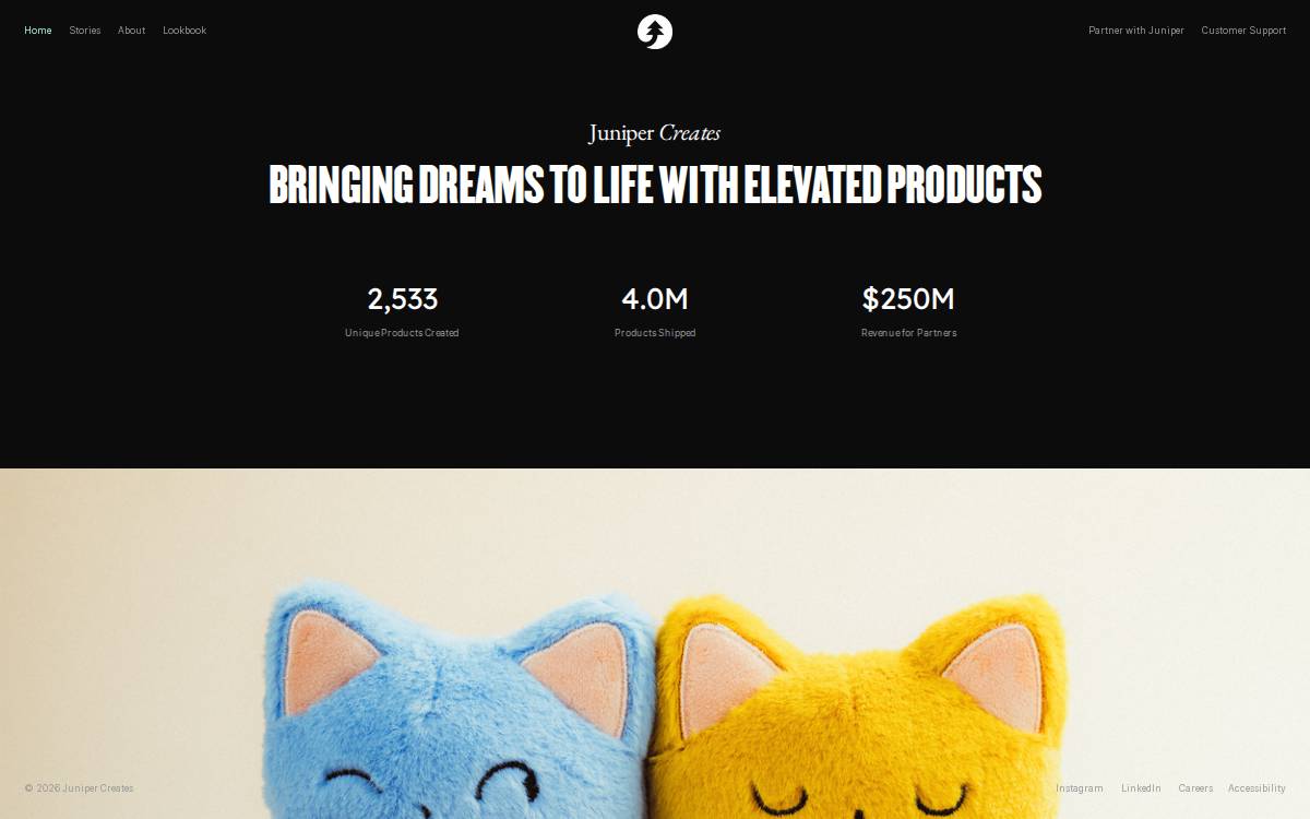 Juniper website preview