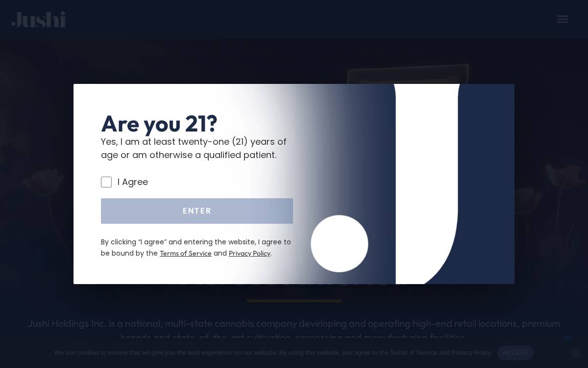 Jushi website preview