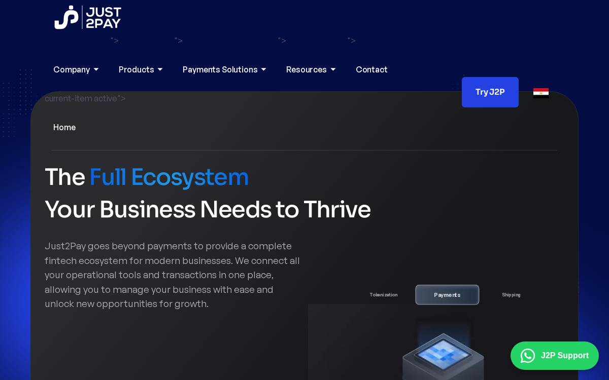 Just2Pay website preview
