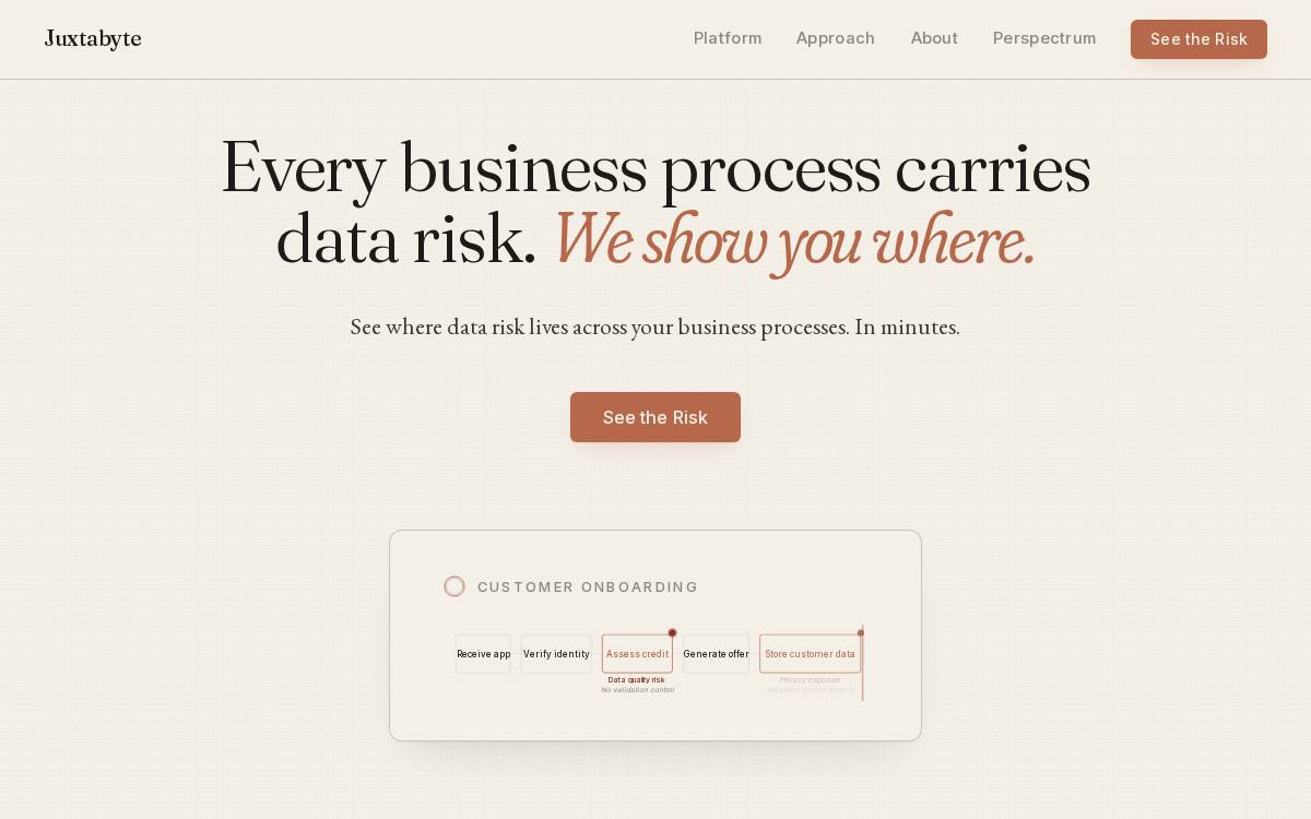 Juxtabyte website preview