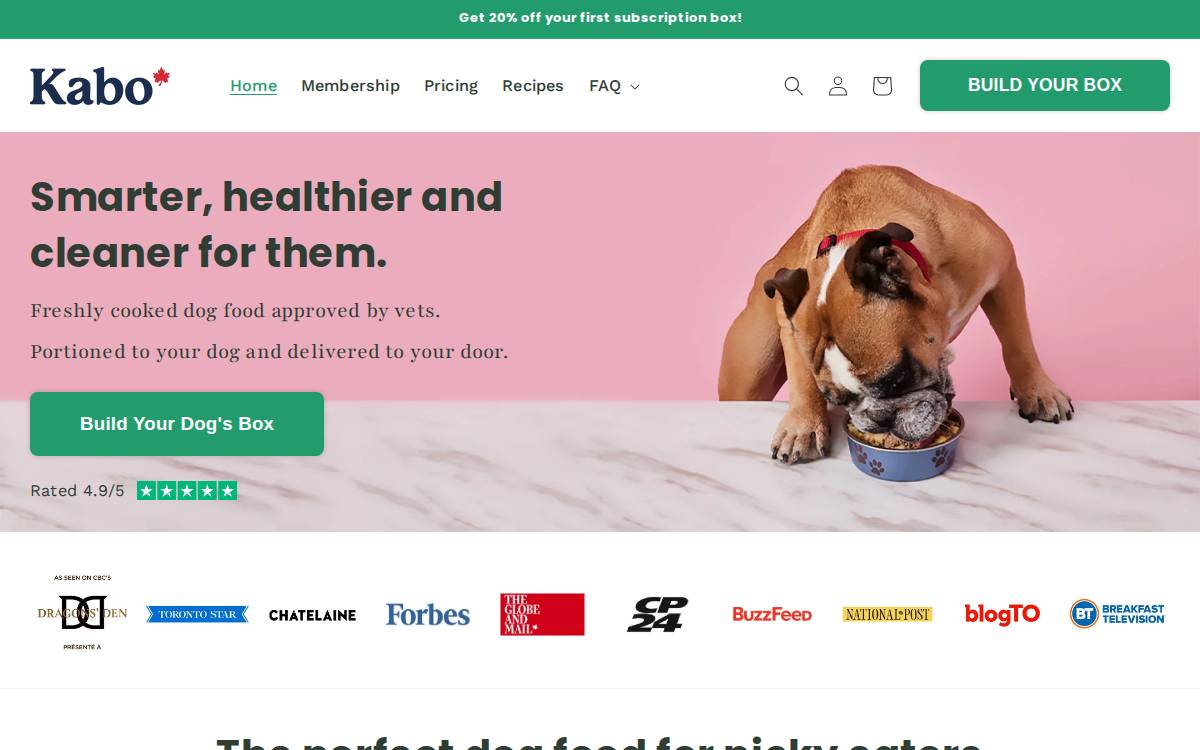 Kabo website preview