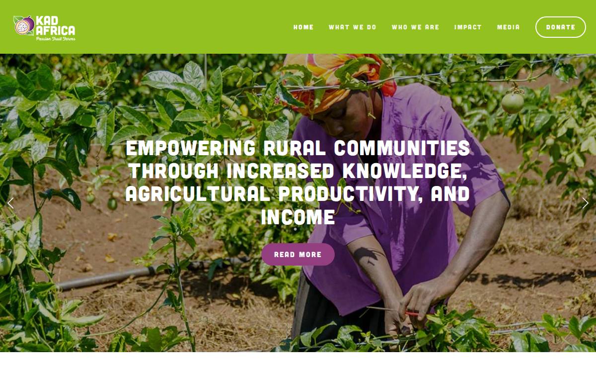 Kadafrica website preview