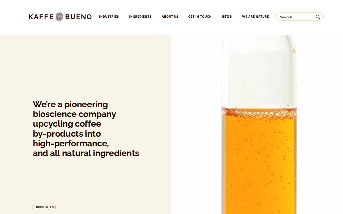Kaffe Bueno website preview