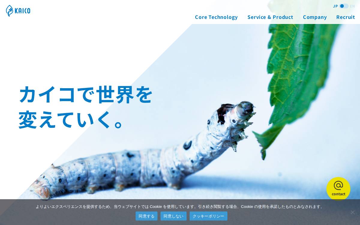 KAICO website preview