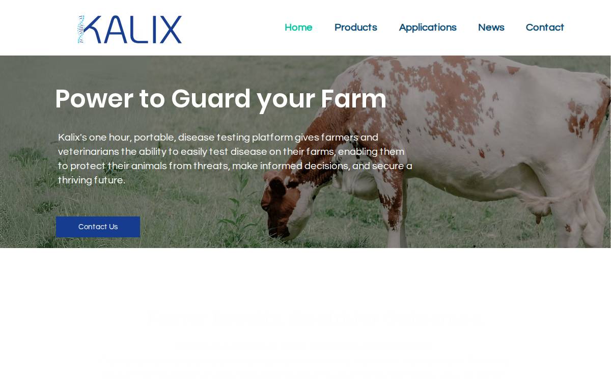 Kalixlabs website preview