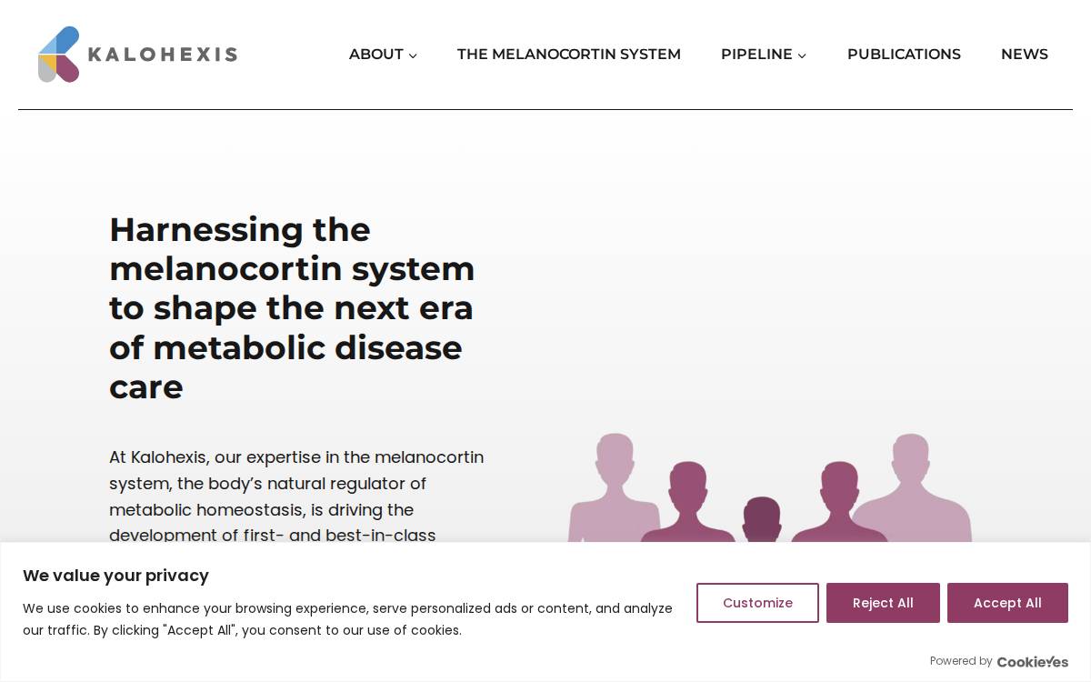 Kalohexis website preview