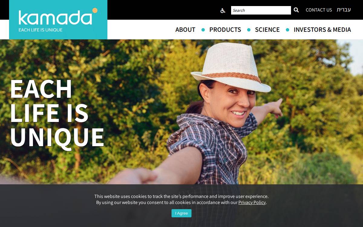 Kamada website preview