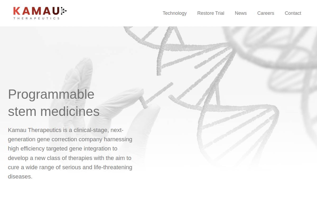 kamau website preview