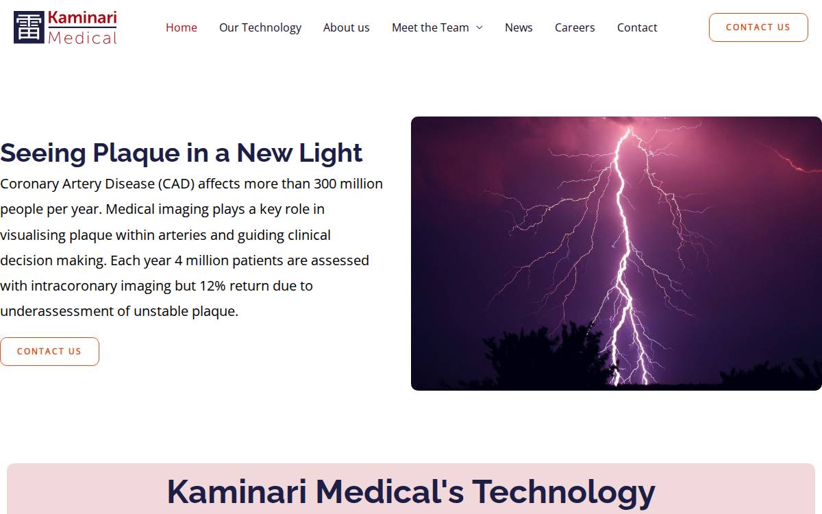 Kaminari Medical website preview