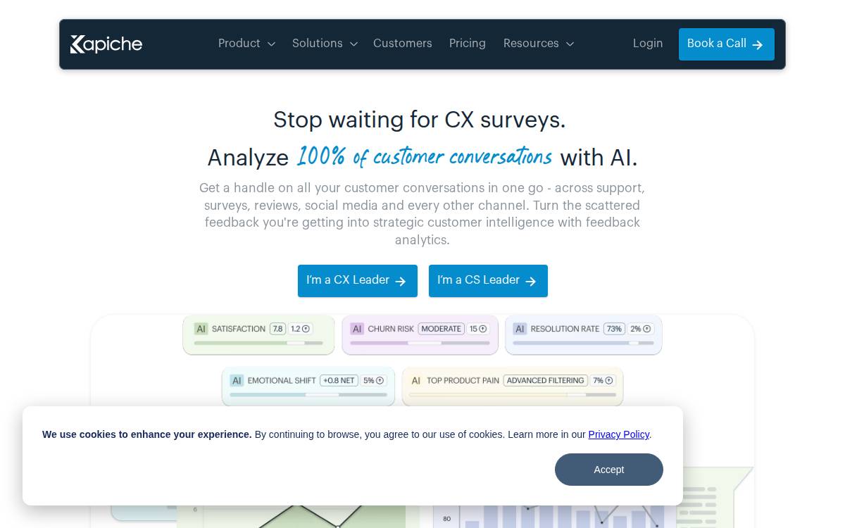 Kapiche website preview