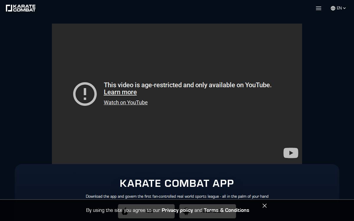 Karate website preview