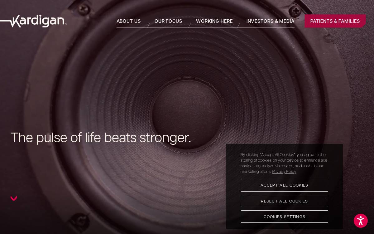 Kardigan website preview