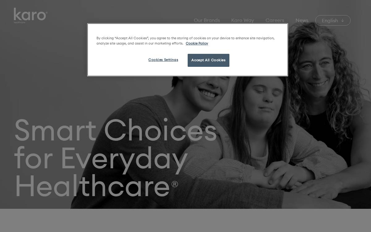 Karo Healthcare website preview