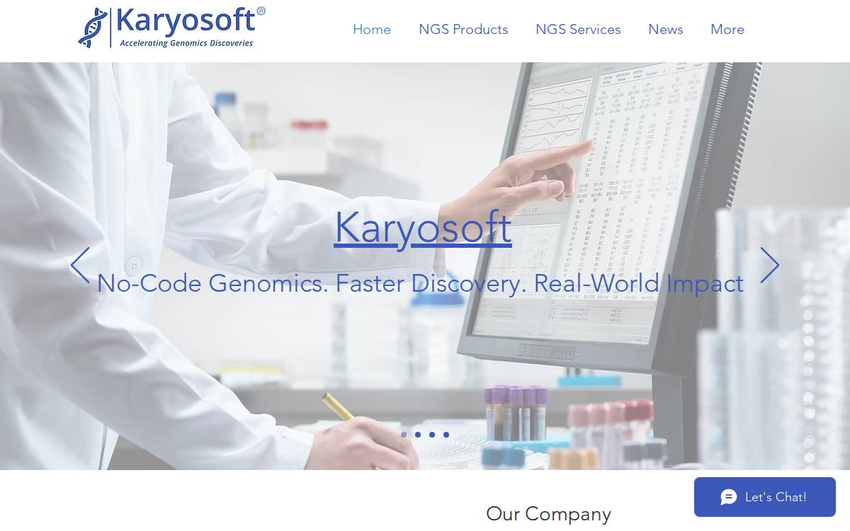 Karyosoft website preview